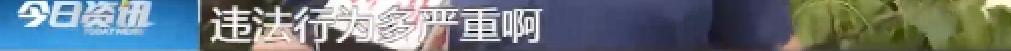 DƬ